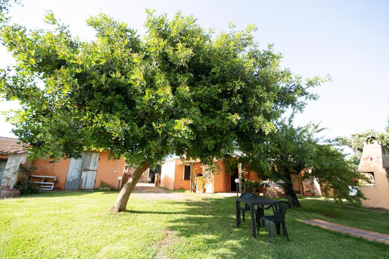 Bed and Breakfast Is Cuccus Masainas Exterior foto