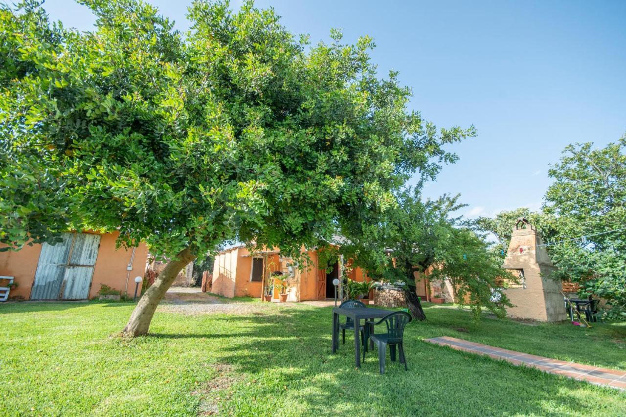 Bed and Breakfast Is Cuccus Masainas Exterior foto