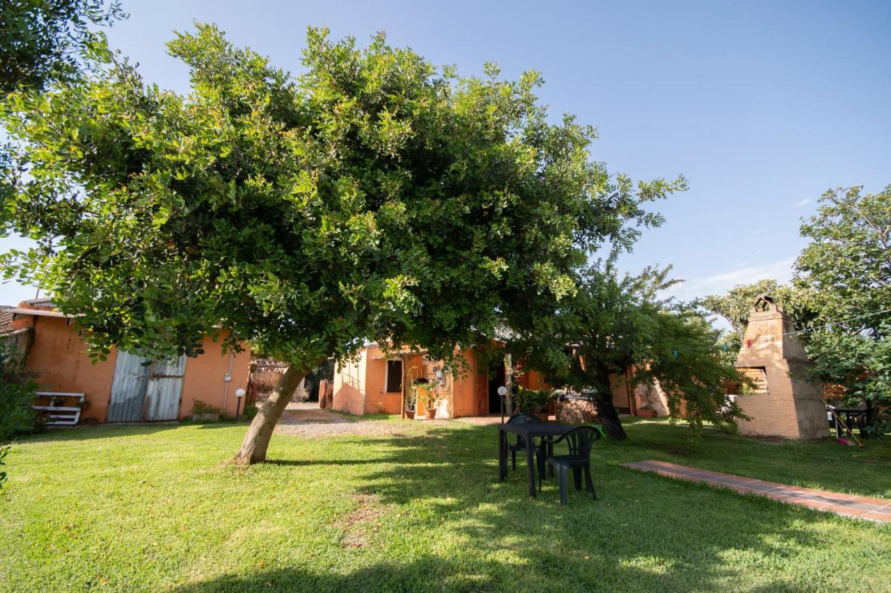 Bed and Breakfast Is Cuccus Masainas Exterior foto